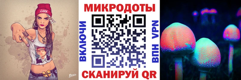 Галлюциногенные грибы Psilocybine cubensis как найти закладки Екатеринбург